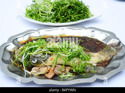 Sautierte Zackenbarsch Fisch mit soyal Sauce, Zwiebel und Gemüse auf Eisen Platte Stockfoto