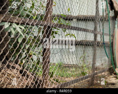 Farbe FOTO VON CHAIN-LINK FENCE Stockfoto