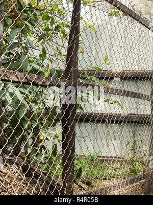 Farbe FOTO VON CHAIN-LINK FENCE Stockfoto