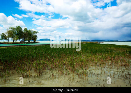 Stürmisches Wetter am Plattensee, Ungarn (Balatonboglar) Stockfoto