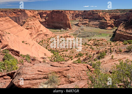 Desert Canyon im Frühjahr Stockfoto