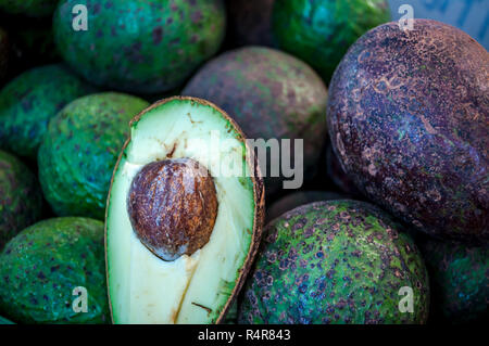 Close up Reif halbe Avocado markt Hintergrund, Persea americana Stockfoto