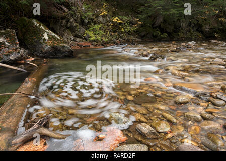 Obere Priester Fluss, Selkirk Mountains, Idaho. Stockfoto