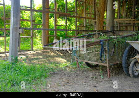 Garten Katze Schubkarre in alten Vintage traditionelle ländliche Scheune Stockfoto