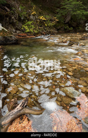 Obere Priester Fluss, Selkirk Mountains, Idaho. Stockfoto