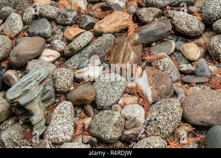 Wasser Felsen auf ein Flußbett entlang der oberen Priester Fluss geglättet, Selkirk Mountains, Idaho. Stockfoto