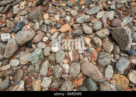 Wasser Felsen auf ein Flußbett entlang der oberen Priester Fluss geglättet, Selkirk Mountains, Idaho. Stockfoto