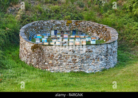 Bienenstöcke. Traditionelle Steinmauer Struktur gegen die Bären. Muniellos, Asturien in Spanien Stockfoto