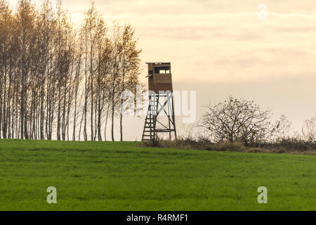 Am frühen Morgen. Holz- Jagd Turm am Rand des Feldes. Die Jagd auf Wildschweine, Hirsche und Rehe. Podlachien, Polen. Stockfoto