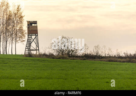 Am frühen Morgen. Holz- Jagd Turm am Rand des Feldes. Die Jagd auf Wildschweine, Hirsche und Rehe. Podlachien, Polen. Stockfoto