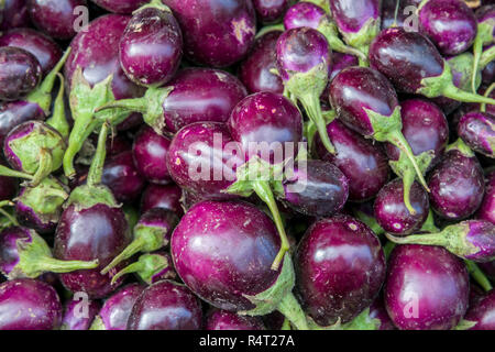 Baby Auberginen auf dem Markt Stockfoto