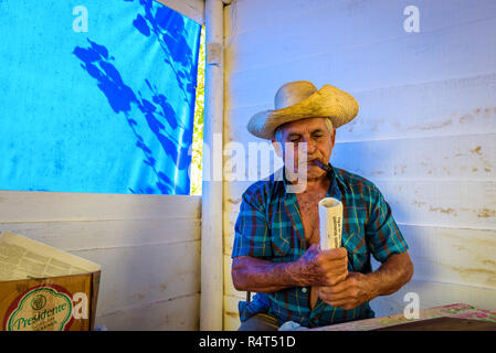 Viñales, Kuba - Feb 2018: Kubanische alter Mann Tabak Blätter in seinem eigenen Haus in Viñales Stockfoto