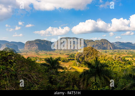 Kubanische Tabak region, tropischen sonnigen Ackerland Bereich bei Sonnenuntergang. Panoramablick über schönen Hügeln, hügelige Landschaft mit mogotes im Tal von Vinales. Stockfoto