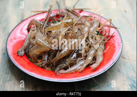 Frisches rohes Vannamei Garnelen Stockfoto