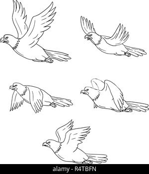 Adler fliegen Seite Cartoon Sammlung Stockfoto