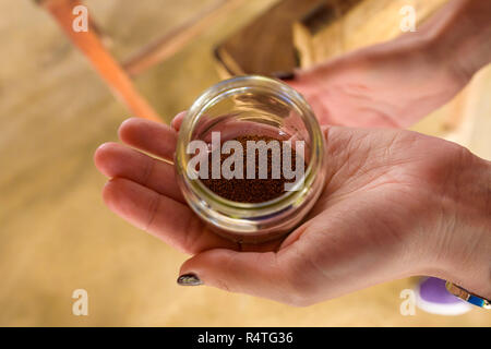 Weibliche Hand, die eine kleine Tabak Samen in ein Glas. Stockfoto