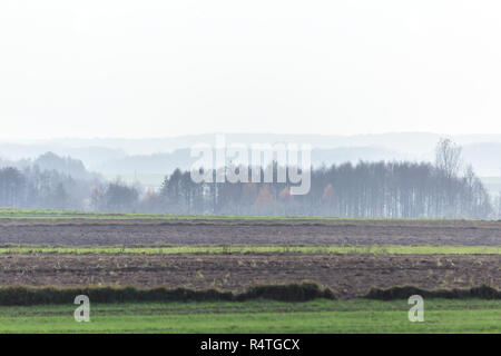 Herbst Wald im Nebel im Hintergrund. Gepflügten Feldern und grünen Wiesen im Vordergrund. Podlasien, Polen. Stockfoto