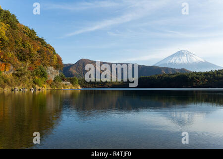 Berg Fuji und Lake saiko Stockfoto