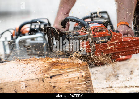 Kettensäge in Aktion mit fliegenden Sägemehl und Motion Blur, der Mensch ist ein Baum mit seiner Macht sah, ausgewählte konzentrieren, enge Tiefenschärfe Stockfoto