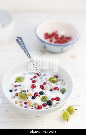Müsli mit frischen Johannisbeeren und Stachelbeeren in Naturjoghurt, gesunden Sommer Frühstück oder Dessert in einer Schüssel auf einem weiß lackiertem Holz- Tabelle, vertica Stockfoto
