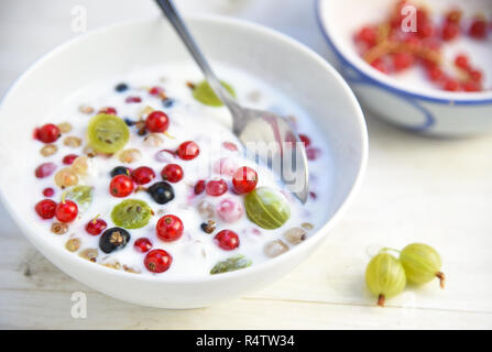 Joghurt und Quark Creme mit frischen Johannisbeeren und Stachelbeeren, gesunden Sommer Frühstück oder Dessert in einem auf einer weiß lackierten hölzernen Tisch, ausgewählte konzentrieren Stockfoto