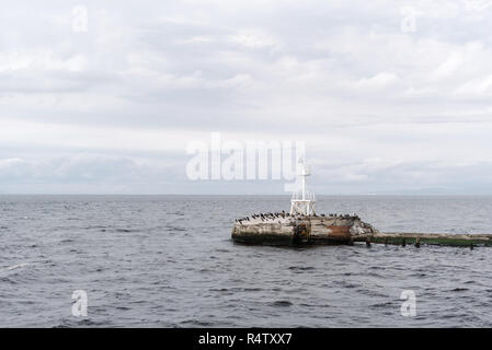 Solar Light Station am Eingang zum Hafen von Ayr, Schottland, Großbritannien. Stockfoto