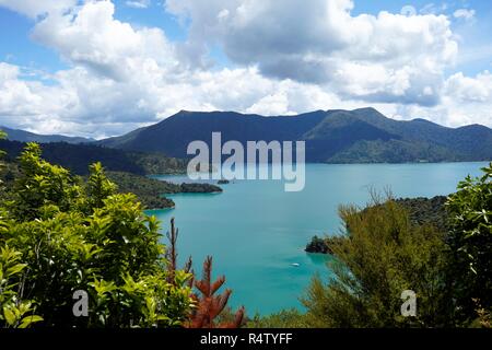 Ein Blick von Oben auf die Boote, blaues Wasser und Buchten der Marlborough Sound Neuseeland Südinsel Stockfoto