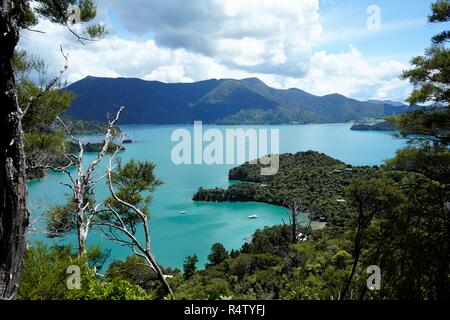 Ein Blick von Oben auf die Boote, blaues Wasser und Buchten der Marlborough Sound Neuseeland Südinsel Stockfoto