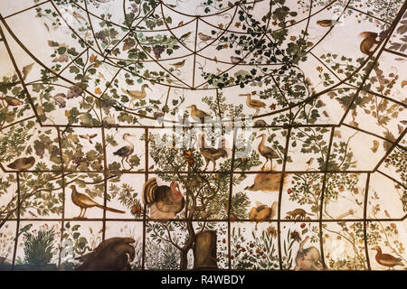 Pergola mit Tieren Fresko von Jacopo Zucchi, Villa Medici, Rom, Italien Stockfoto