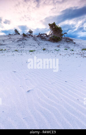 Sonnenaufgang an der Sanddünen von Is Arenas Biancas, Teulada, Provinz Cagliari, Sardinien, Italien, Europa. Stockfoto