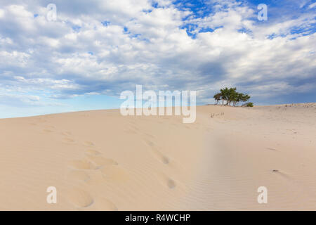 Sanddüne an Dünen von Is Arenas Biancas, Teulada, Provinz Cagliari, Sardinien, Italien, Europa. Stockfoto