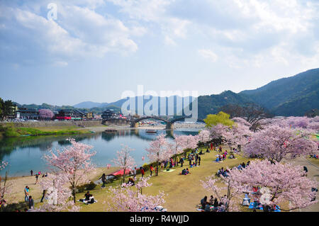 YAMAGUCHI, Japan - 09 April 2011: Kirschblüten in Iwakuni mit kintai-kyo Bridge im Hintergrund Stockfoto