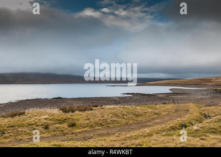 North Pennines AONB Landschaft, eine kurze helle Intervall Highlights das Vorland der Kuh Grün Behälter, Obere Teesdale an trüben November Tag Stockfoto