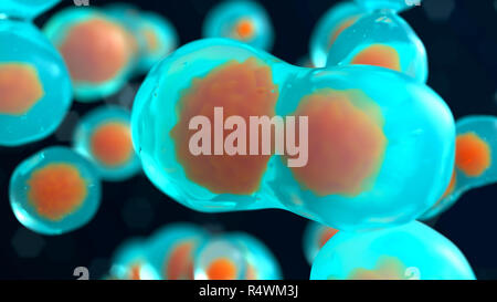 Zellen des Embryos. Mitose unter dem Mikroskop. 3D-Render Abbildung Stockfoto