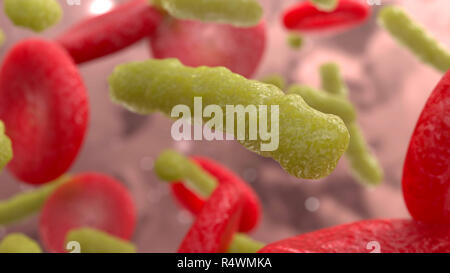 Bakterien und Blutzellen unter dem Mikroskop. 3D-Render Abbildung Stockfoto