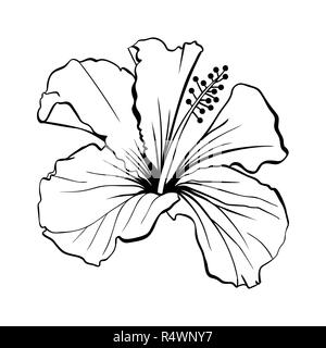 Hawaiian Hibiscus Laser geschnittenen Vektor. Duft Umrisse Blume. Malve Chenese Rose. Schwarze und Weiße Flora. Isolierte Botanik Pflanze mit Blüten. Tropische Karkade oder Bissap Kräutertee, purpurroten Blüten Stock Vektor