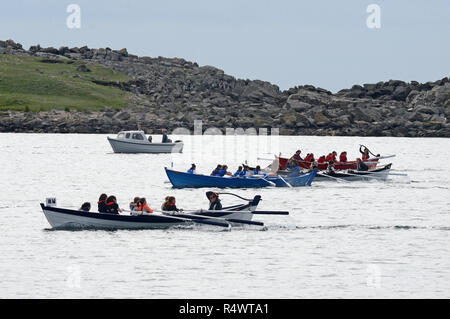 Shetland Ruderregatta in Hamnavoe Burra in der Shetland Inseln gehalten während des Sommers. Lokale Teams Rennen für jeden Bezirk