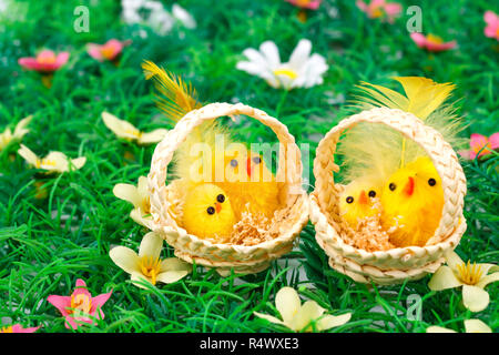 Ostern-Einstellung mit Hühnern auf Rasen Hintergrund. Stockfoto