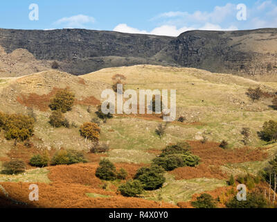 Alport Burgen, Alport Dale, Nationalpark Peak District, Derbyshire, England, UK im Oktober Stockfoto