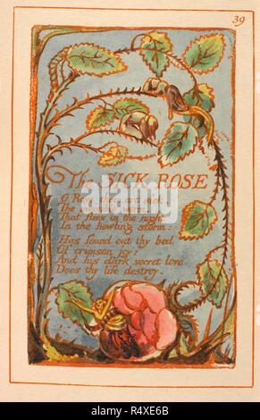 Die kranke Rose. Lieder der Unschuld und Erfahrung. H. Jung & Söhne: Liverpool, 1923. Die kranke Rose. Illustrierte Gedicht Bild aus "Songs von Unschuld und Erfahrung. [Ein Faksimile eines farbigen und vergoldete Kopie der ersten Edition.]." von H. Jung & Söhne: Liverpool, 1923 veröffentlicht. Quelle: C.71. d. 19, Seite 39. Sprache: Englisch. Autor: Blake, William. Stockfoto