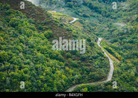 Blick auf Asphalt, Wald und Weinbergen am Ufer des Flusses Sil. Curvy, asphaltierte Straße durch Wald und Weinberge entlang des Flusses Sil, Canyon de Rio Si führenden Stockfoto