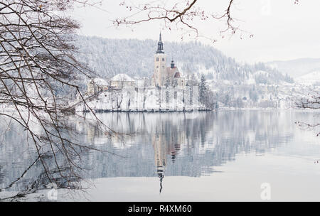 BLED, Slowenien - Januar 2015: Blick über gotische Kirche am See Insel. Framing mit Zweigen Stockfoto