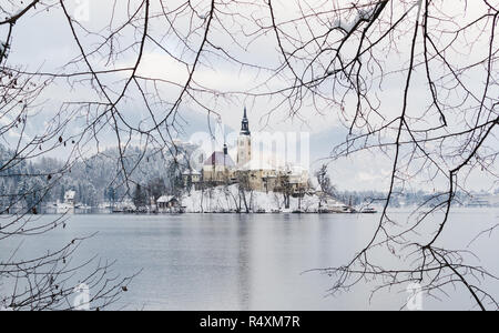 BLED, Slowenien - Januar 2015: Blick über gotische Kirche am See Insel. Framing mit Zweigen Stockfoto