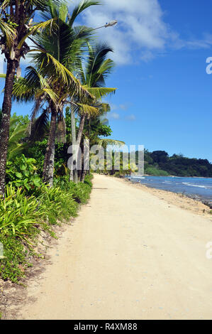 Ein sandiger Straße zwischen dem Meer und einer Linie, die von Palmen Stockfoto