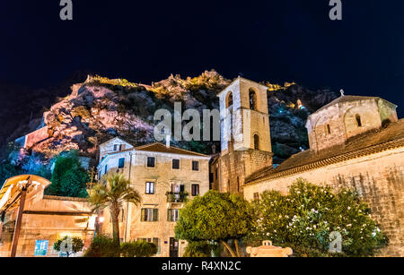 Stiftskirche St. Maria in der Nacht in Kotor, Montenegro Stockfoto