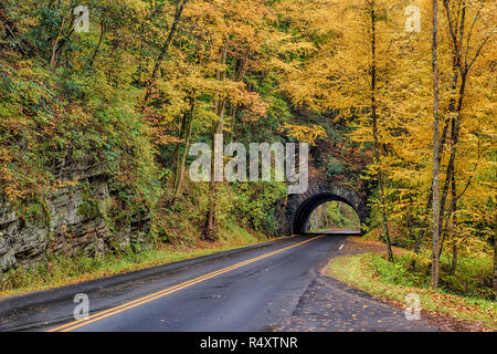 Horizontale Schuß von Herbst Farbe, mit einem Smoky Mountain Tunnel Stockfoto