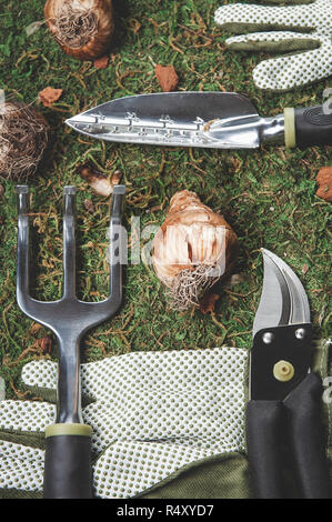 Verschiedene Werkzeuge für die Gartenarbeit einschließlich kelle, Hand Rake, gartenschere und Garten Handschuhe. Stockfoto