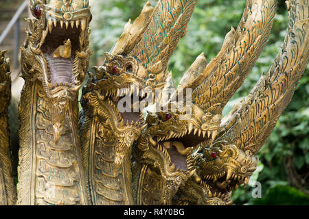 Thailand Chiang Rai Mai Sai Monkey Cave Tempel Stockfoto