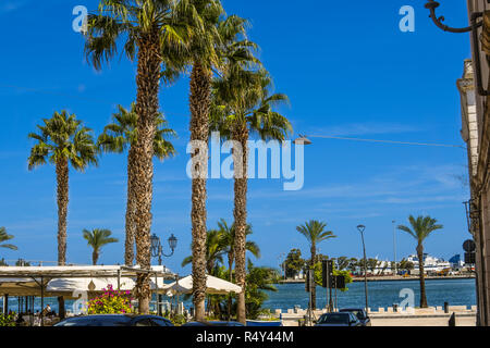 Palm treesagainst den blauen Himmel an der Strandpromenade der Hafenstadt Brindisi, Italien, an der südlichen Adria Küste in der Region Apulien Stockfoto