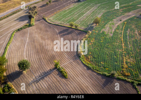 Luftaufnahme von Feldern mit geometrischen Formen Stockfoto